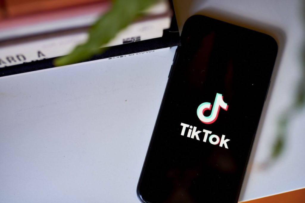Trump Meets With TikTok CEO As Corporate Asks Very best Courtroom To Intrude With Stop –